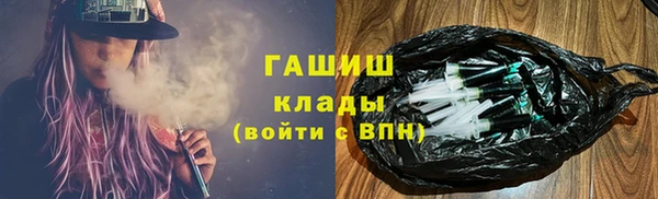 дмт Богданович