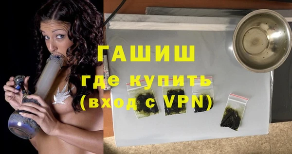 гидра Богородск