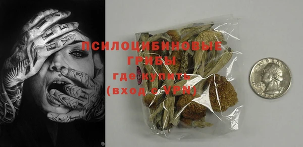 стаф Богородицк