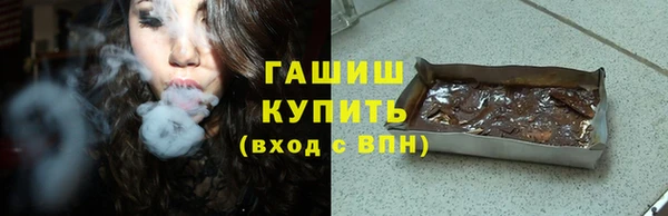 гидра Богородск