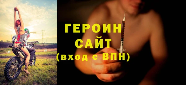 гидра Богородск