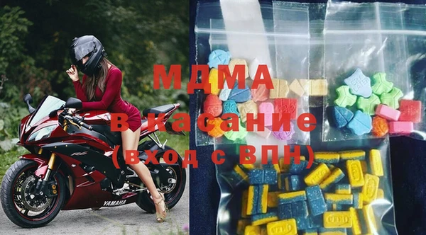 дмт Богданович