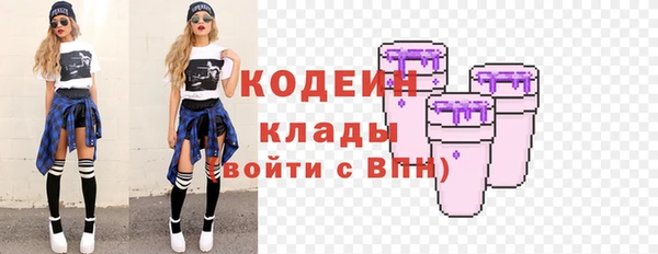 гидра Богородск