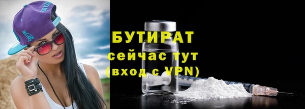 гидра Богородск