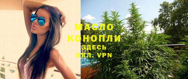 гидра Богородск