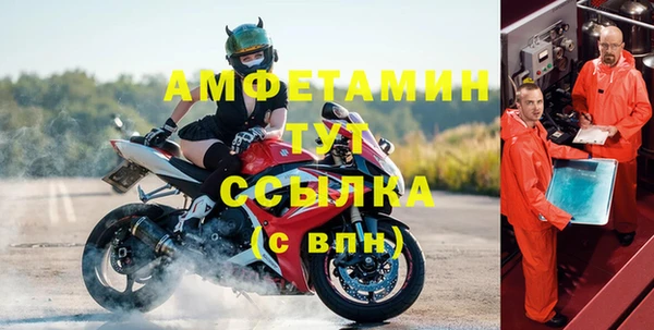гидра Богородск