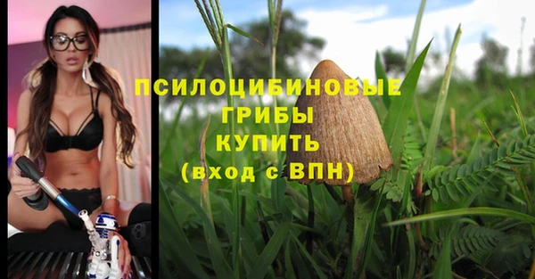 стаф Богородицк