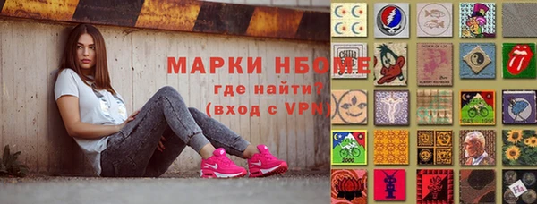 гидра Богородск