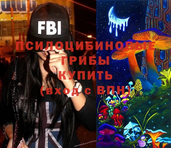 стаф Богородицк