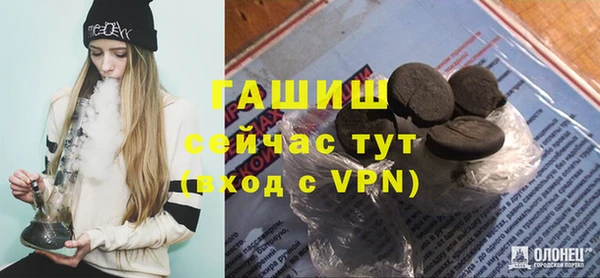 гидра Богородск