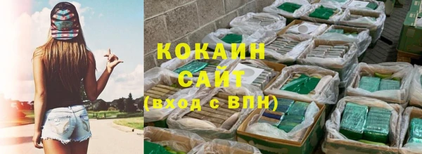 дмт Богданович