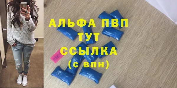 дмт Богданович