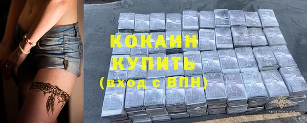 дмт Богданович