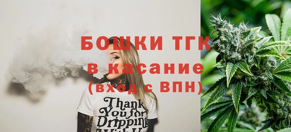 дмт Богданович