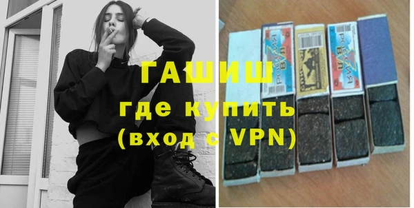 гидра Богородск
