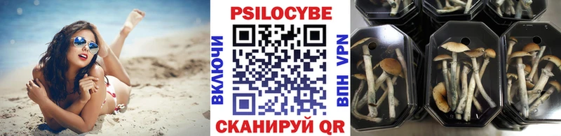 хочу наркоту  Воскресенск  Псилоцибиновые грибы мицелий 